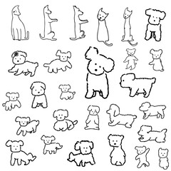 복스럽고 귀여운 강아지