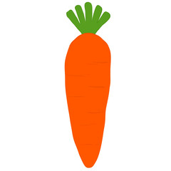 Cute Orange Carrot_04