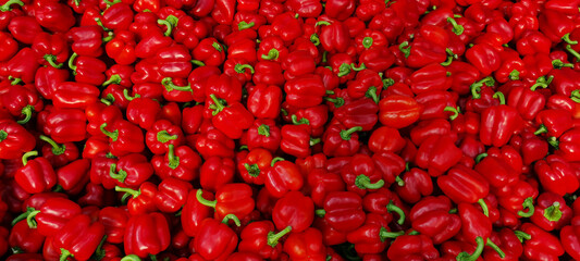 Close up of a lot of fresh colorful bell peppers. background of multicolored natural organic vegetables