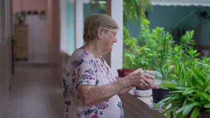 Retired 80 year old senior woman waters plants in residential backyard home