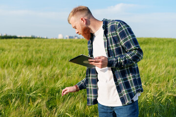 A young male farmer with a tablet is standing in a wheat field. An agronomist during a crop...