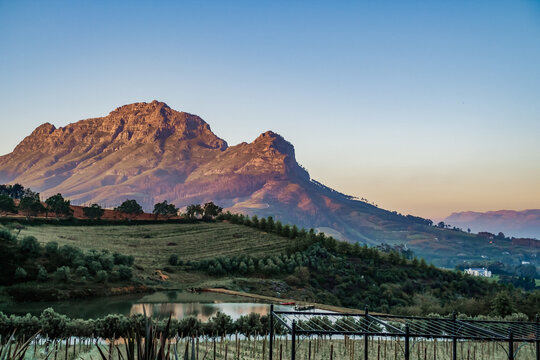 Stellenbosch wine farm with majestic Simonsberg Mountains in the background at sunset. 