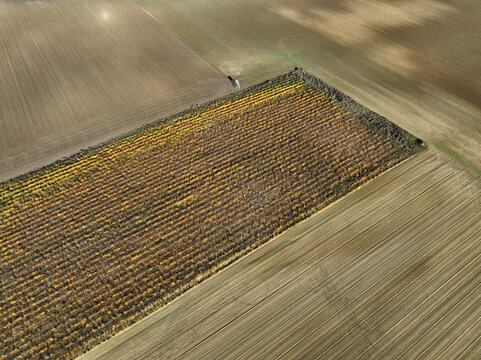 Aerial view of small scale agriculture and ploughing in Brandenburg, Germany.