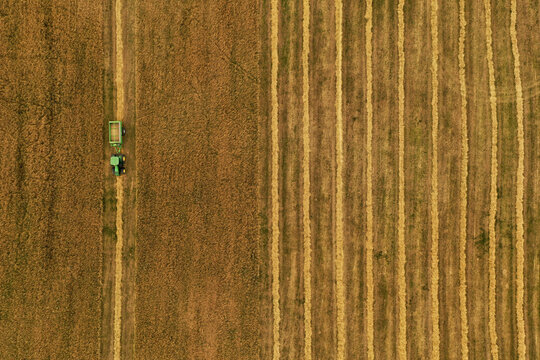 Aerial view of harvester and tractor during cereal harvest in Brandenburg, Germany.