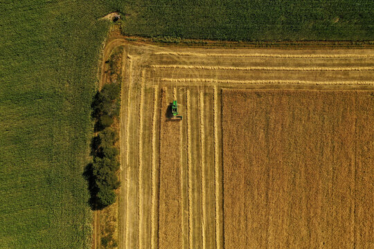 Aerial view of harvester and tractor during cereal harvest in Brandenburg, Germany.