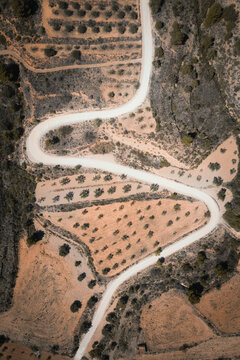 Aerial view of a road path with a serpentine shape crossing through agricultural cultivation with trees disposed of geometrically, Calles, Valencia, Spain.