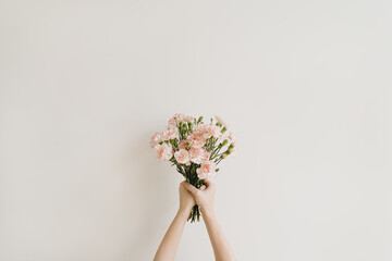 Woman's hand holding beautiful carnation flowers over neutral background. Aesthetic minimal floral...
