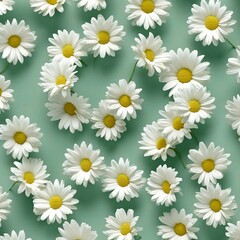 Chamomile pattern on a gentle green background. White daisies background. Realistic chamomile print. Wild field flowers. White flowers pattern. Floral background. Generative ai.