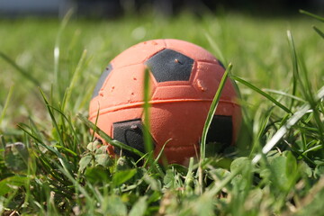 Soft ball nestled in grass