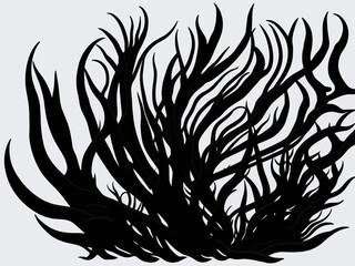 Sea plant icon vector