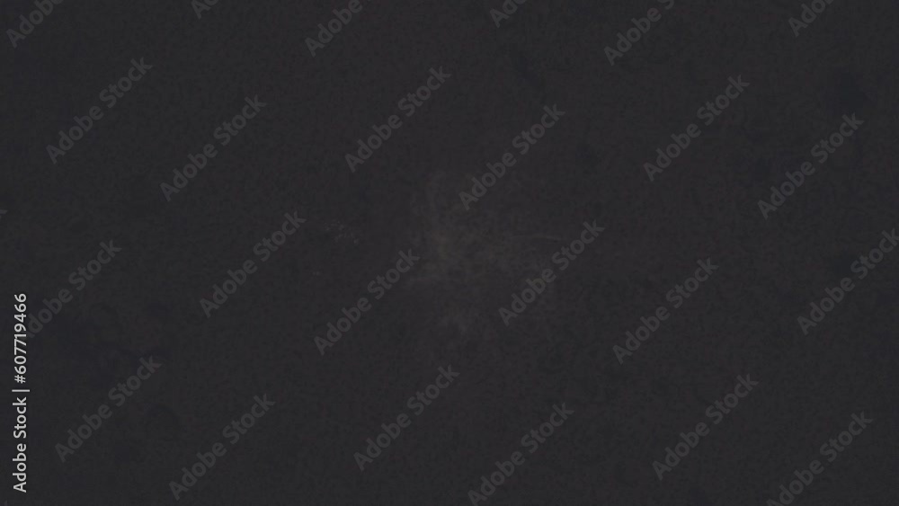 Aufkleber bright flames wriggle in a magical fire vortex. 3d rendering digital animation
