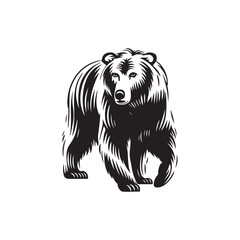 Bear Vector illustration. Bear Vintage Logo