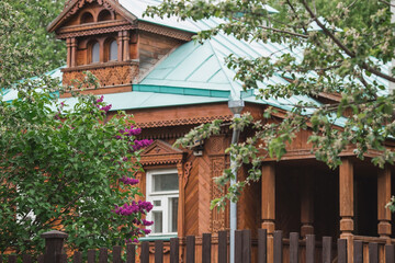 Fototapeta na wymiar Fluffy, blooming bright lilac at the old Russian wooden house under the window. Beautiful floral background. Large clusters of lilac.