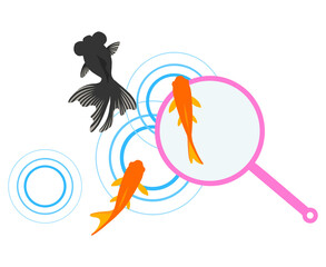 夏祭りの金魚すくい