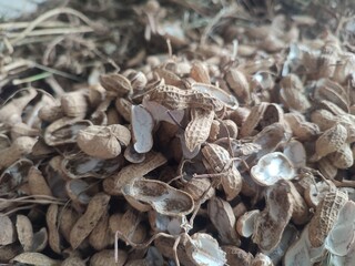 Peanut shells have health benefits, namely being able to reduce the risk of various degenerative diseases.