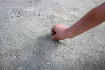 A boy marks the ground with his hands