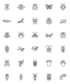 Insects animals line icons set