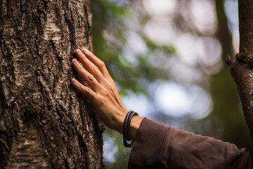 A man's hand touch the tree trunk close-up. Bark wood.Caring for the environment. The ecology...