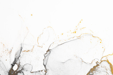 Marble ink abstract art from meticulous original painting abstract background . Painting was painted on high quality paper texture to create smooth marble background pattern of ombre alcohol ink . © InfiniteFlow