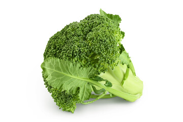 fresh broccoli isolated on white background close-up with full depth of field.