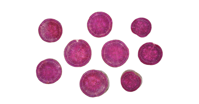 Slices of purple sweet potato isolated on transparent background. PNG
