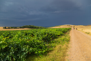 Fototapeta premium Pilgrims walk along the Camino De Santiago