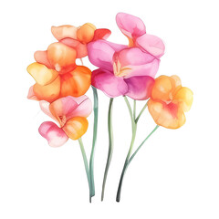 Naklejka premium Exotic tropical flowers watercolor