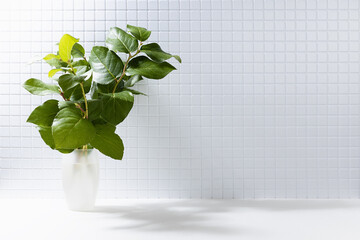 Fresh sunny abstract bathroom interior with lush green leaves of tree in sunbeams, shadows, tiny ceramic tiles on wall, copy space. Summer background for presentation cosmetic products, spa, design.