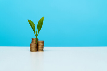 Fototapeta na wymiar Green plant growth from coins