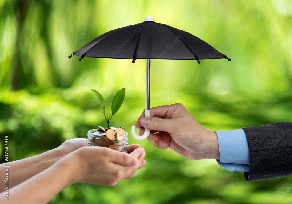 Wall mural Toy umbrella covering green plant