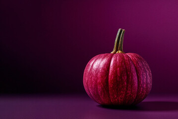 purple pumpkin on darck magenta background