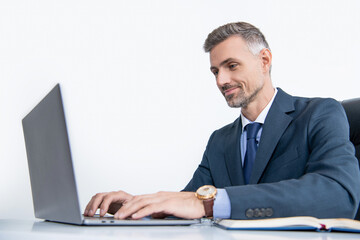smiling mature businessman working in office with laptop