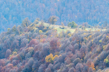 View of Haghartsin valley from Mount Dimats slope on sunny autumn day. Dilijan National Park, Armenia.