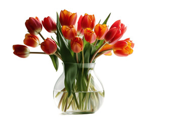 Tulips in a Vase Isolated on Transparent Background, Generative Ai