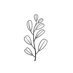 Leaf line drawing 