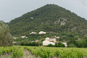 Fototapeta na wymiar Colline Cheval Long et vignoble vus de Sablet en Vaucluse - France.