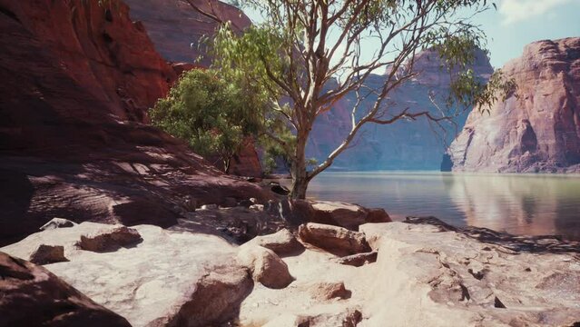 The reflection of the mountains in the River