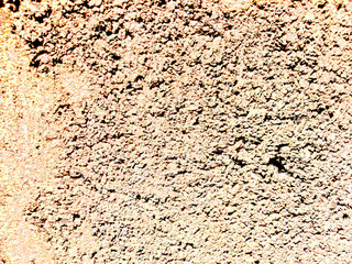 The background has unusual patterns and beautiful colors.