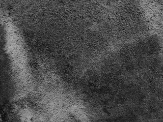 The background has unusual patterns and beautiful colors.