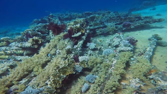 4k video of cargo from the wreck of the Yolanda at the tip of the Sinai Peninsula in Egypt
