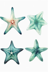 Fototapeta na wymiar starfish watercolor clipart isolated on white background