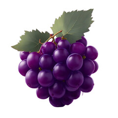 Fototapeta premium bunch of grapes 2d