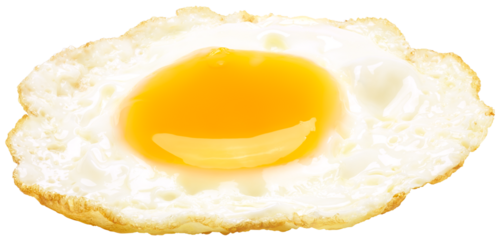 Fried egg isolated