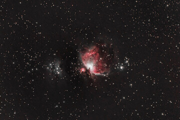 Orion Nebula