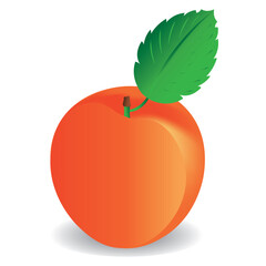 peach, apricot, fruit icon vector illustration symbol