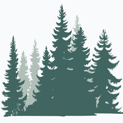 Pine trees silhouettes on a white background. Vector illustration.
