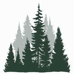 Pine trees silhouettes on a white background. Vector illustration.