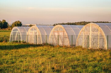 Group of greenhouses in rural landscape. Polythene tunnel as a plastic greenhouse on the meadow. - 607769871