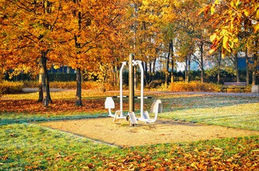 Sport theme with outdoor gym. The exercise apparatus in the autumn park.