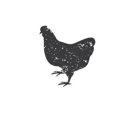 Chicken poultry, domestic birds for poultry farm industry grunge effect. Black chicken rubber stamp vector design and illustration.


